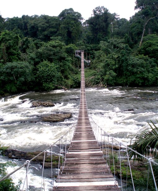 korup national park II